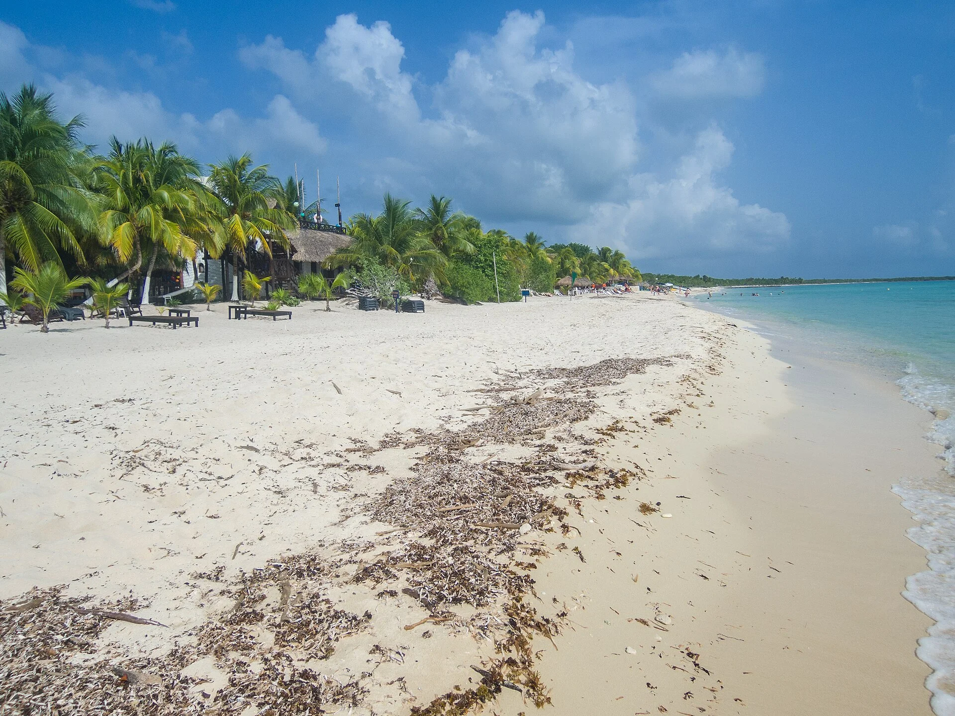 Cozumel, la isla de los arrecifes